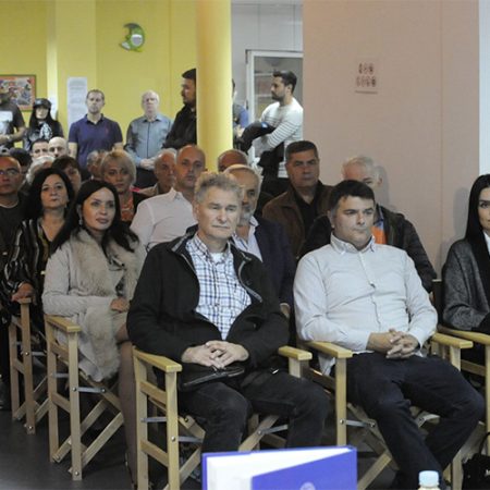 kraljevo direktor